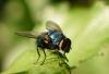 317602 – Photo : Maxime Zucca – France (26)